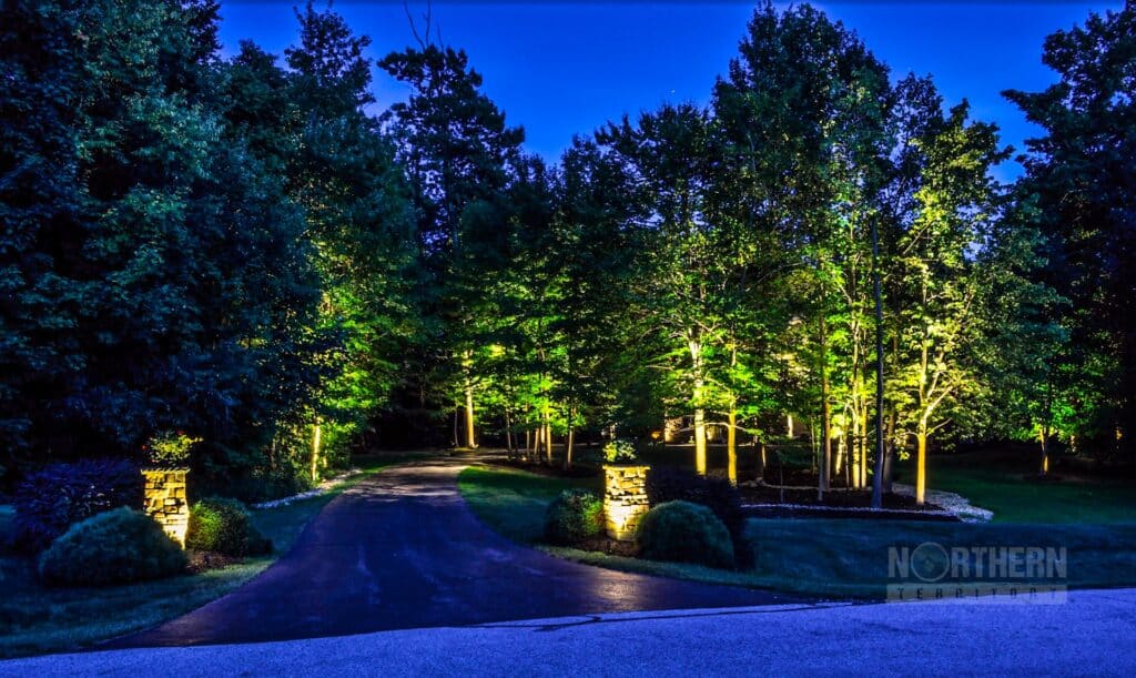 Driveway illuminated by lights