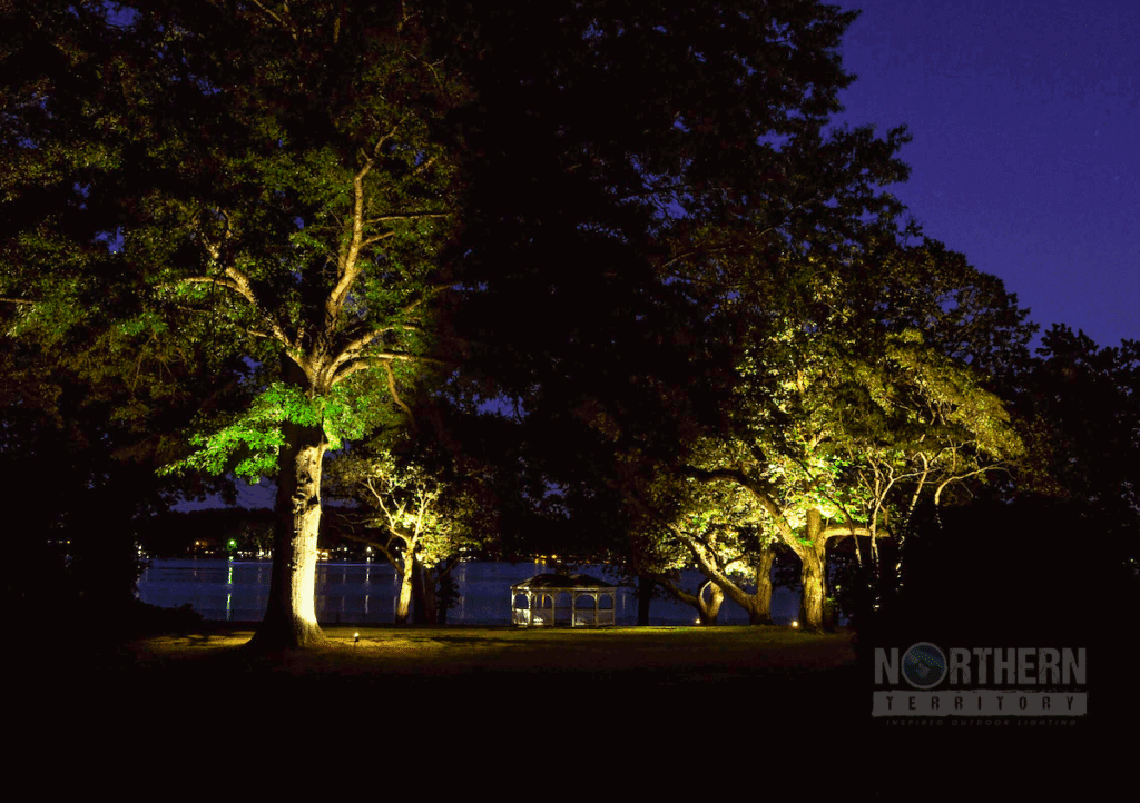 Gazebo with lighting on trees